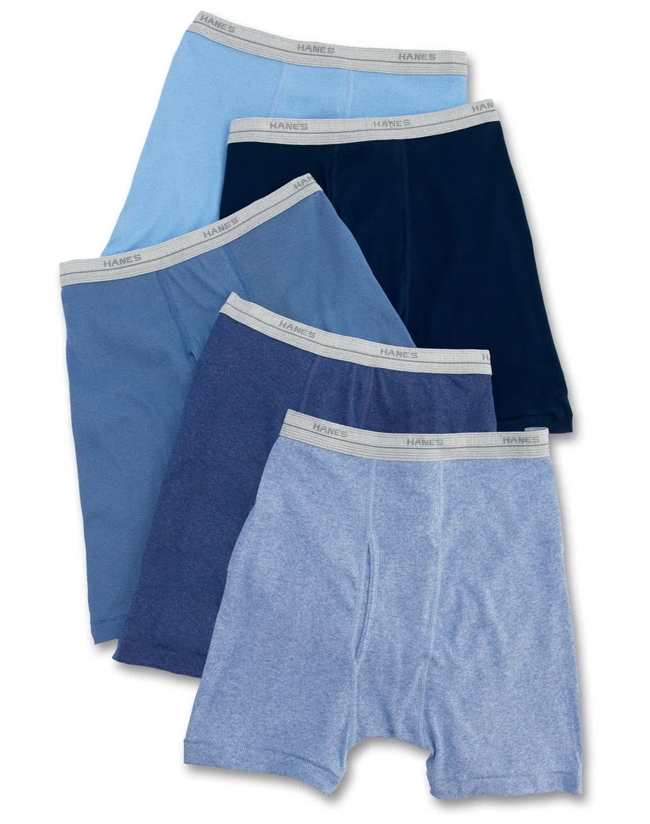Hanes Boys Boxer Briefs (B749B5)