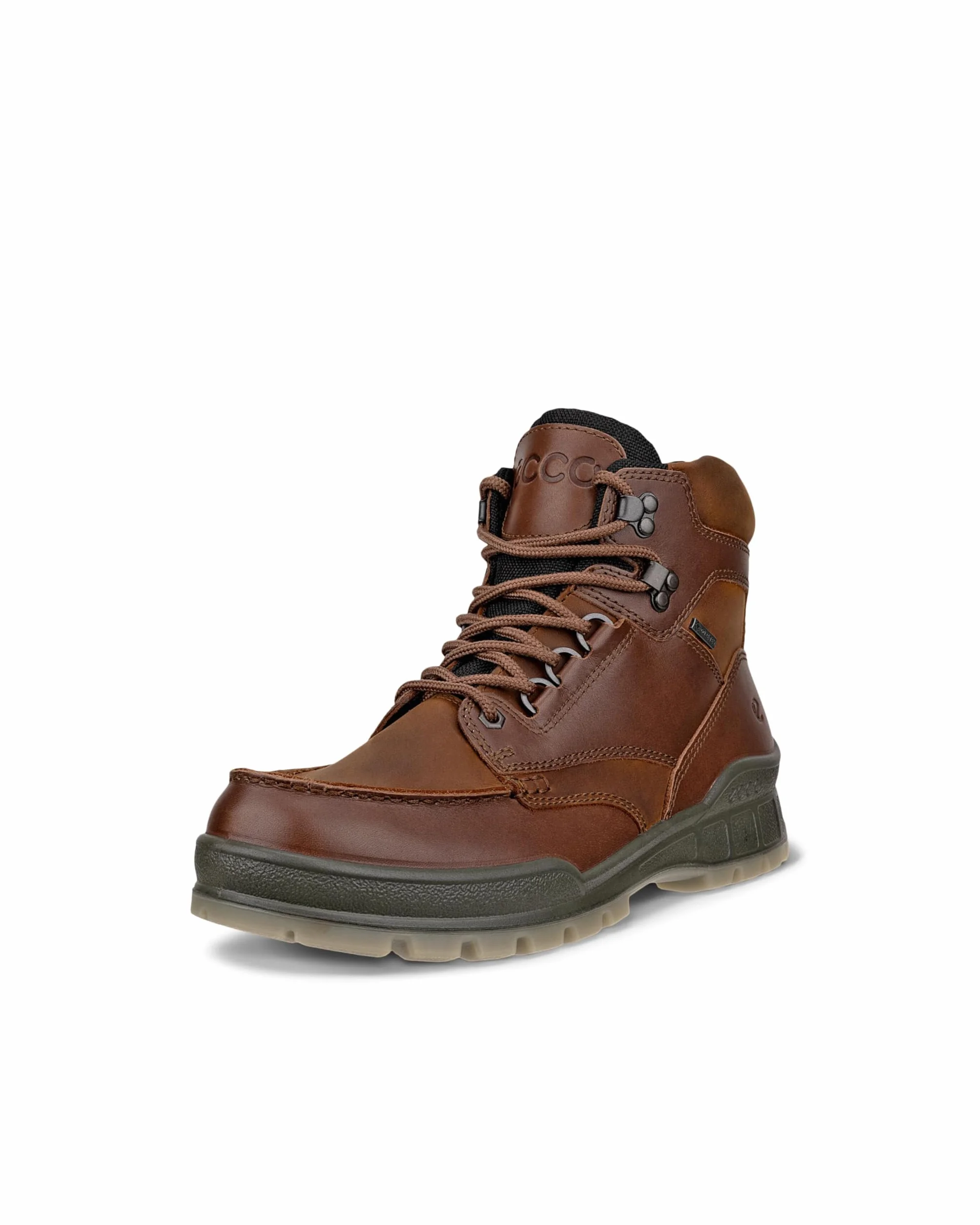 ECCO Men's Track 25 M Hiking Boot