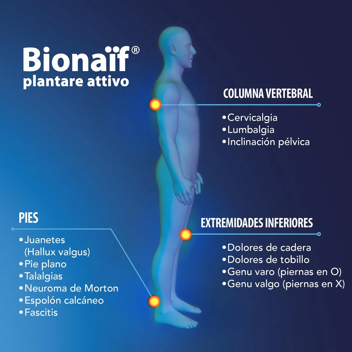 Bionaif Plantilla Ortopédica para Fascitis Plantar, Pie Plano y Espolón Calcáneo, Soporte del Arco Plantar, Azul Grande, Talla 43-48 (96-105 kg)