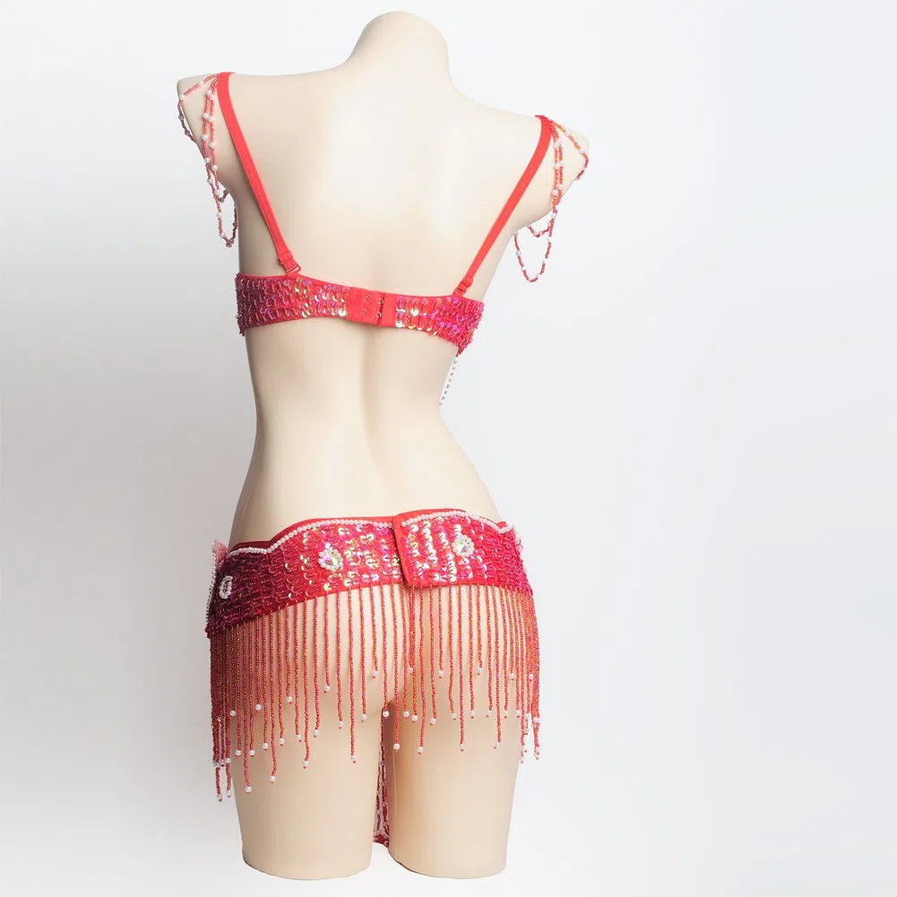 ROYAL SMEELA Disfraz de Danza del Vientre para Mujer Conjuntos de Sujetador y cinturón Danza del Vientre Profesional Carnival Sexy Fancy Traje Baile del Vientre Mujer Conjunto Danza del Vientre