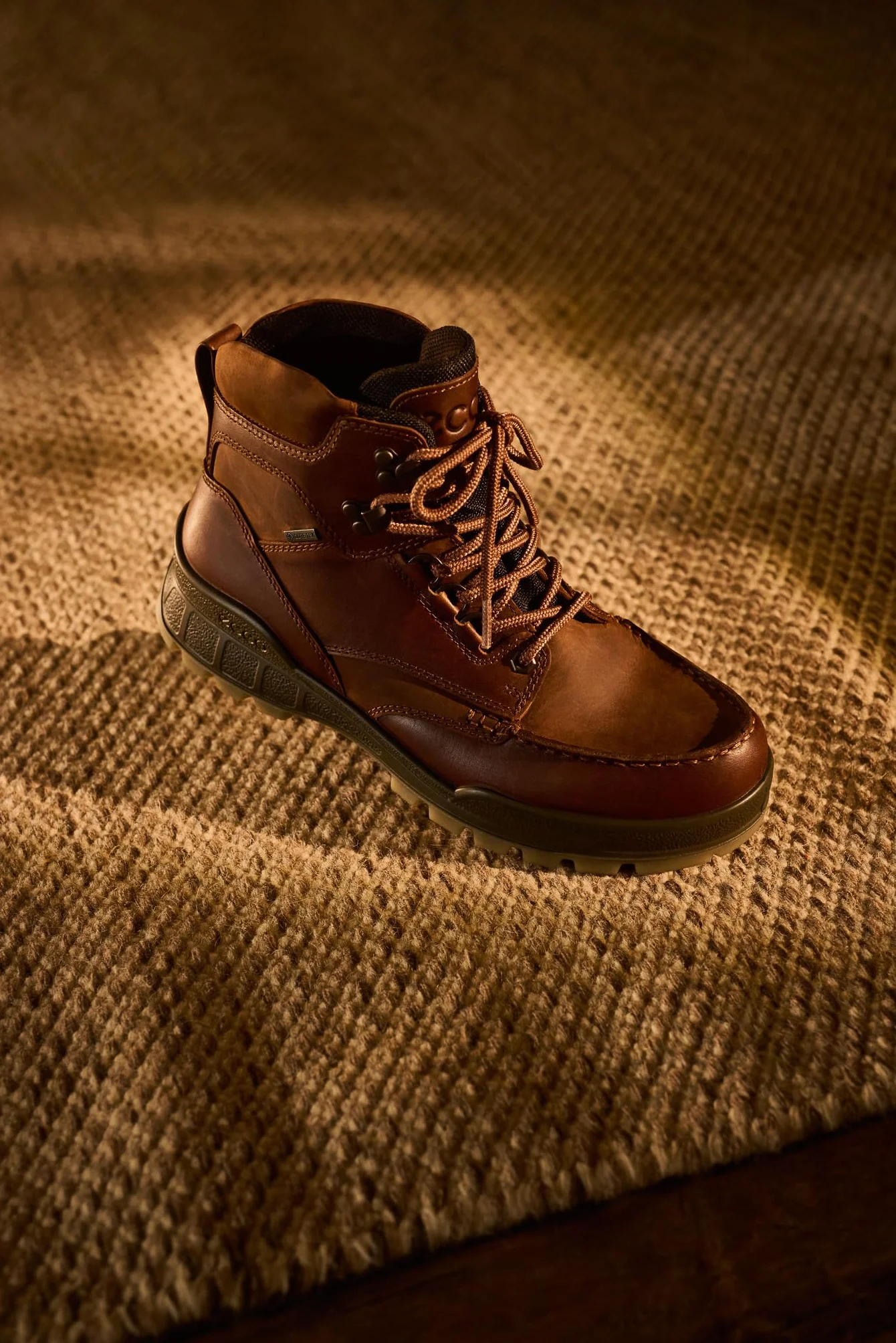 ECCO Men's Track 25 M Hiking Boot