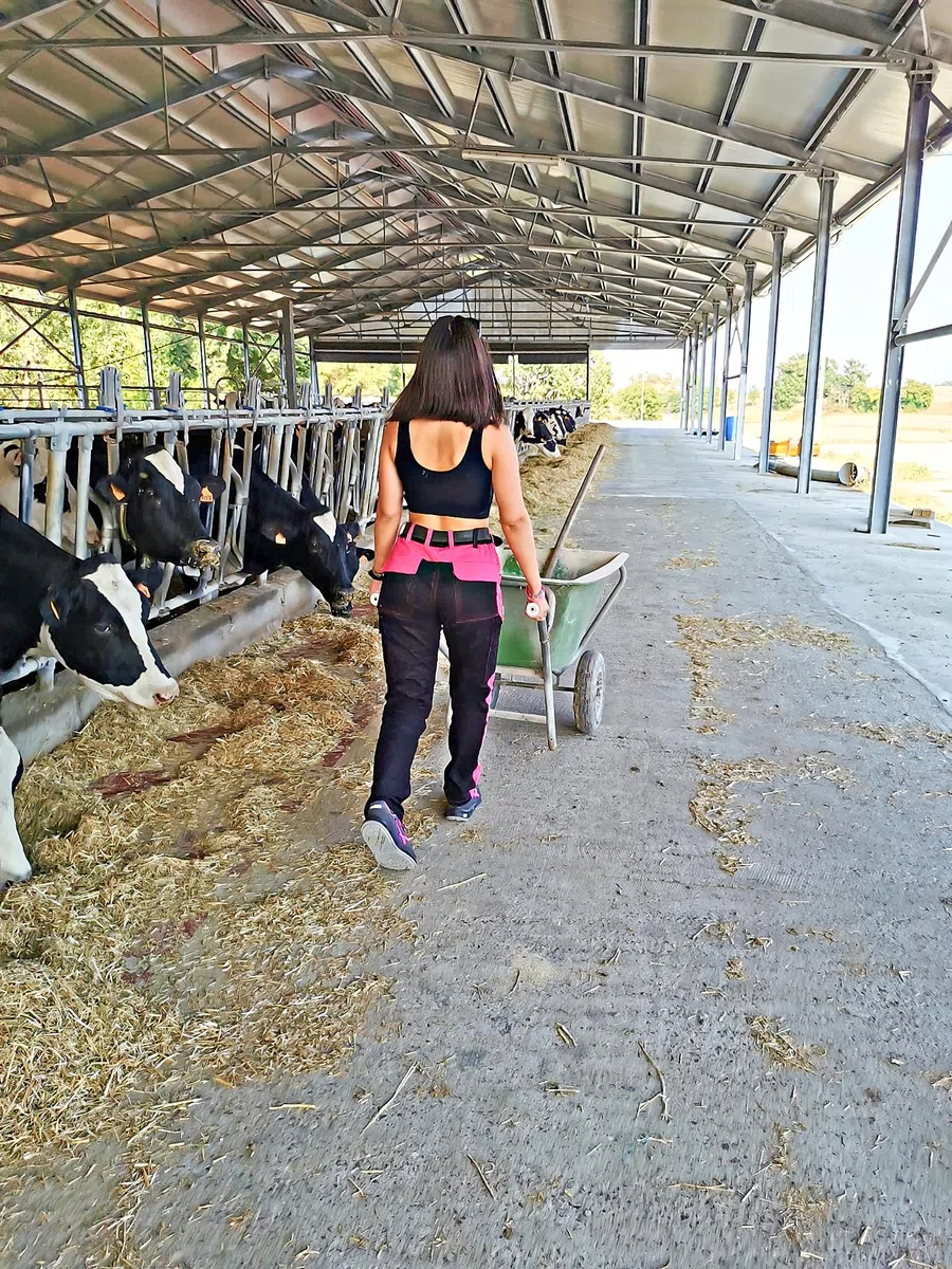 strongAnt Pantalones de Trabajo para Mujer, Totalmente elásticos, con Bolsillos Acolchados en Las Rodillas