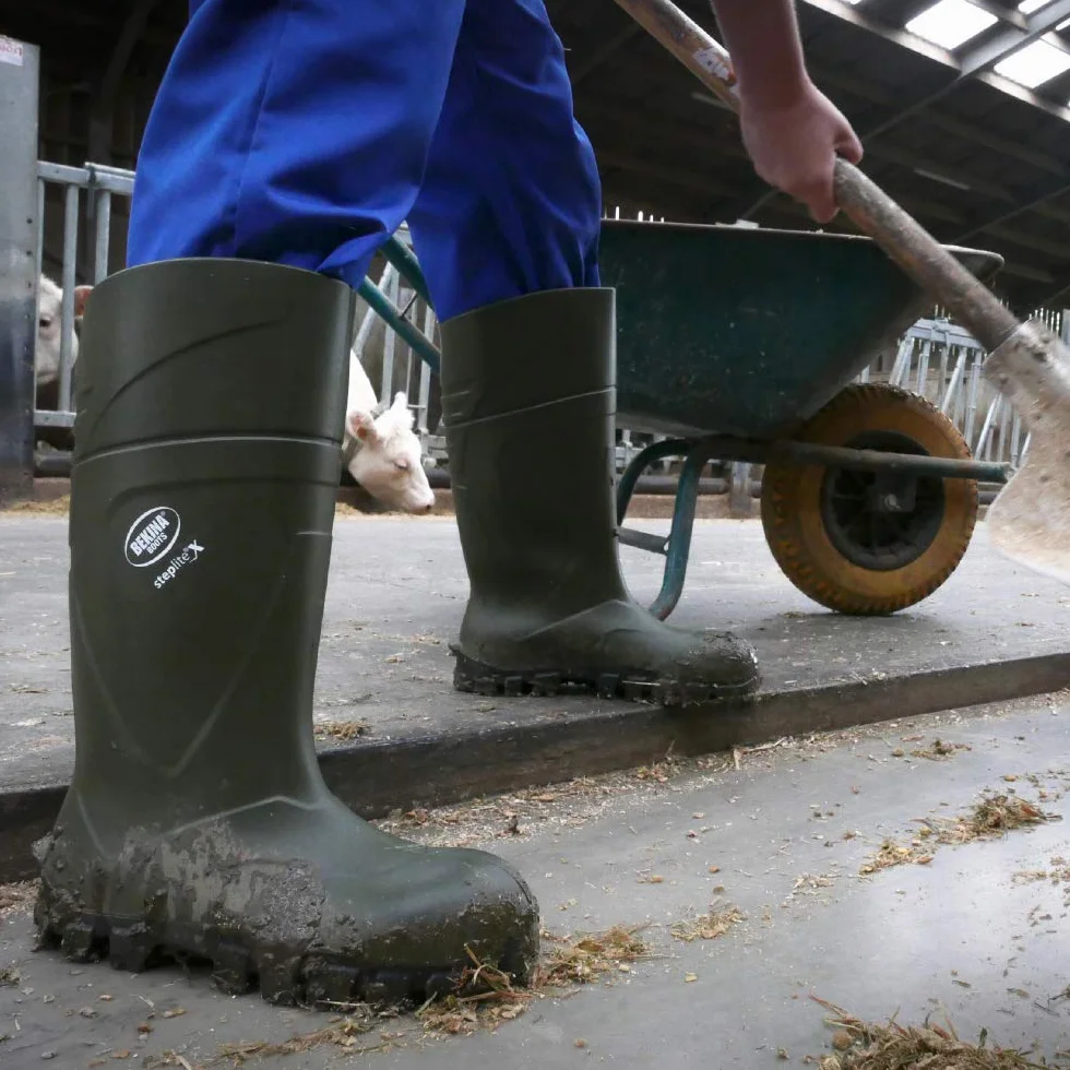 Bekina Bota de Trabajo Robusta para Mujeres y Hombres sin Puntera de Acero de Seguridad, para Uso agrícola, Garantiza una excelente adherencia, protección de Aislamiento -30 Grados, Verde, EU 40
