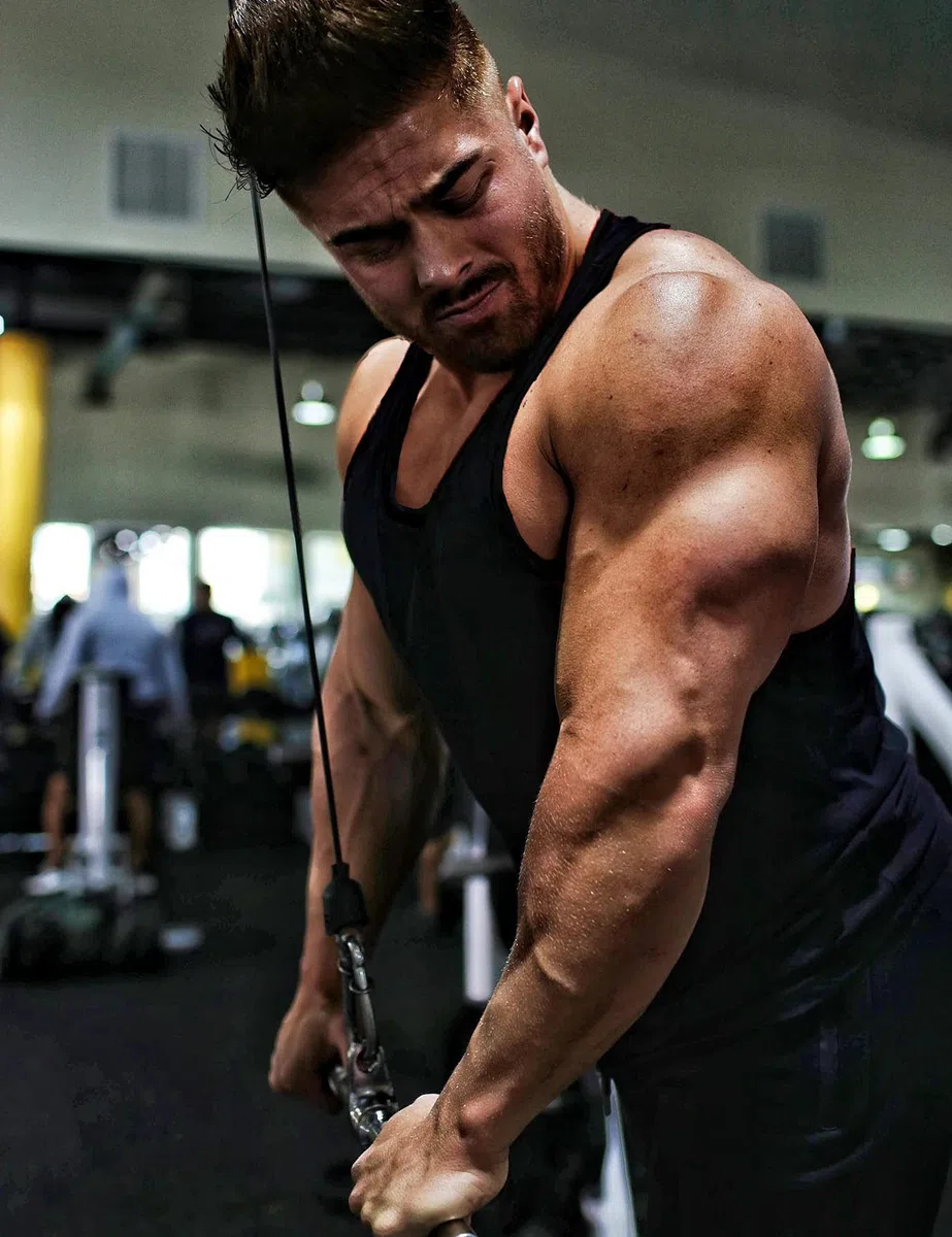 Babioboa Camisetas sin Mangas para Hombre, 3 Unidades, para Gimnasio, Entrenamiento, Espalda en Y, musculación, Culturismo