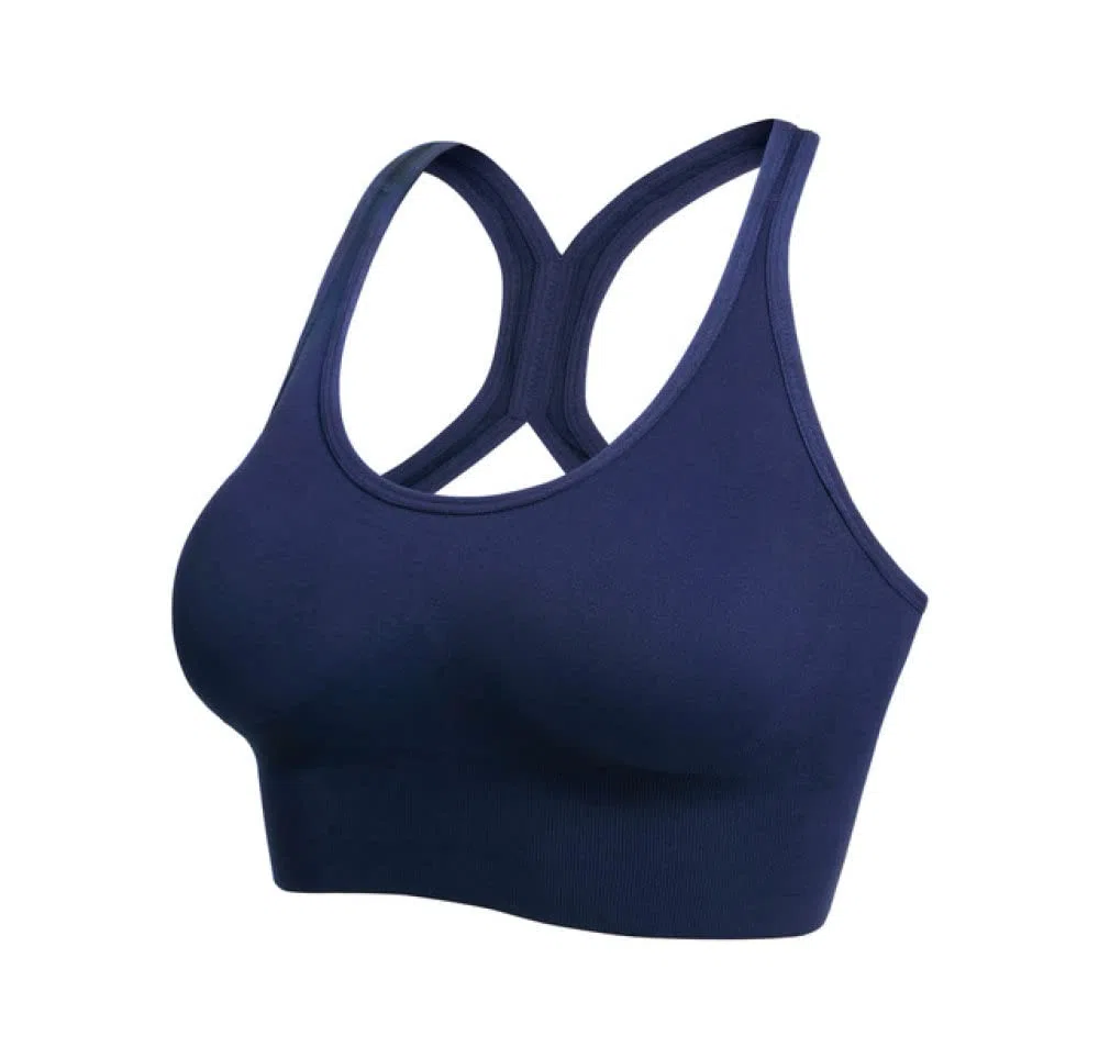 HODAGES ,Sujetador Deportivo para Mujer,Sujetador Deportivo para Mujer Push Up Crop Top Mujer Fitness Gym Bra Hollow Top Transpirable Sexy Running Yoga Bra Ropa Deportiva atlética,Azul,S (Azul S)