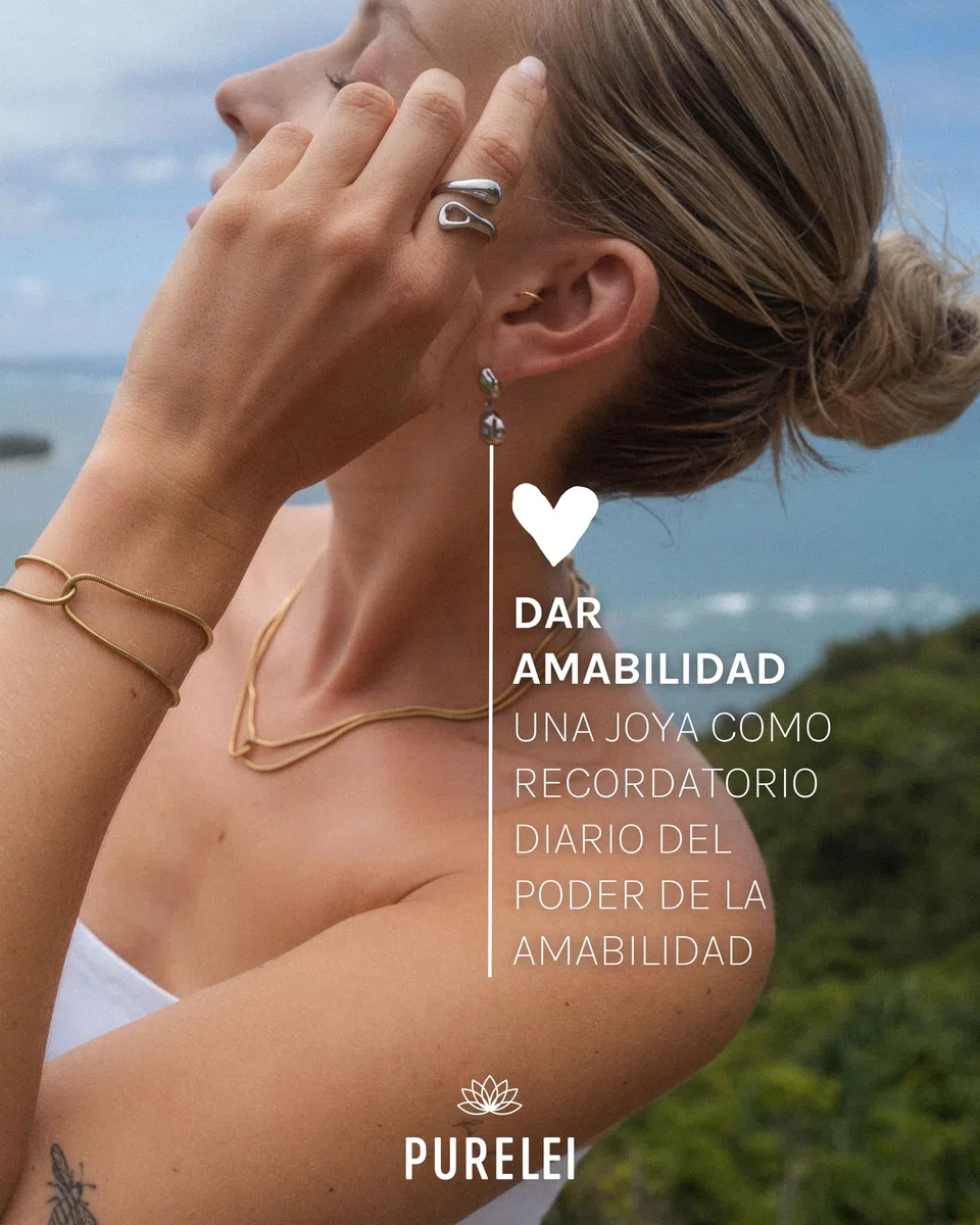 Purelei calendario adviento joyas 2025 (Bicolor) – 25 piezas exclusivas de joyería para cada ocasión – Calendario adviento mujer – Sostenible y reutilizable – Calendario joyas estético