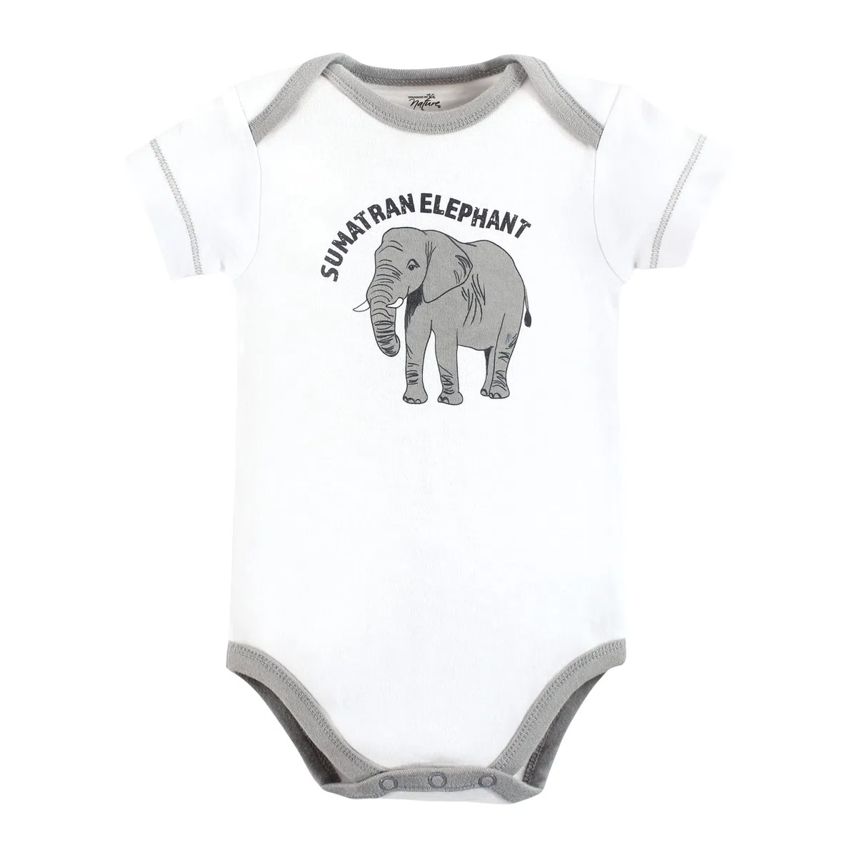 Touched by Nature Organic Cotton Bodysuits Touched by Nature - Body unisex para bebé, algodón orgánico, animales marinos en peligro de extinción, 3-6 meses, para niña
