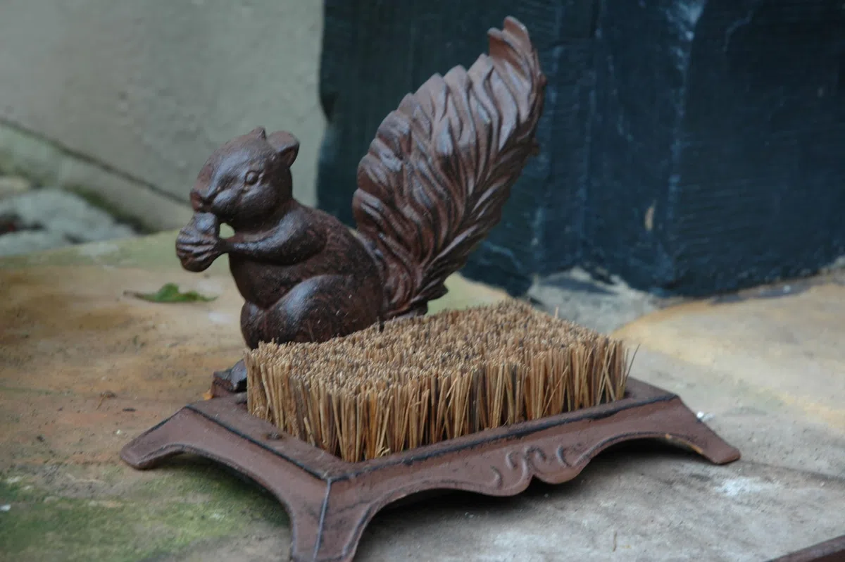 Boot Brush Squirrel