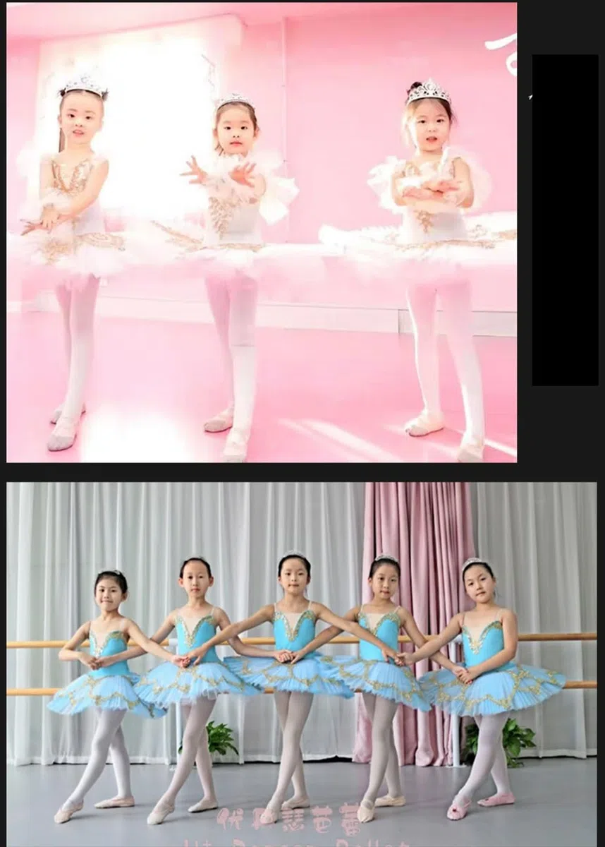 Masif Ballet Tutu Falda Mujer Adulta Ballet Profesional Tutu para Niñas Niños Swan Lake Tutu Bailarina Fiesta Baile Bordado Trajes