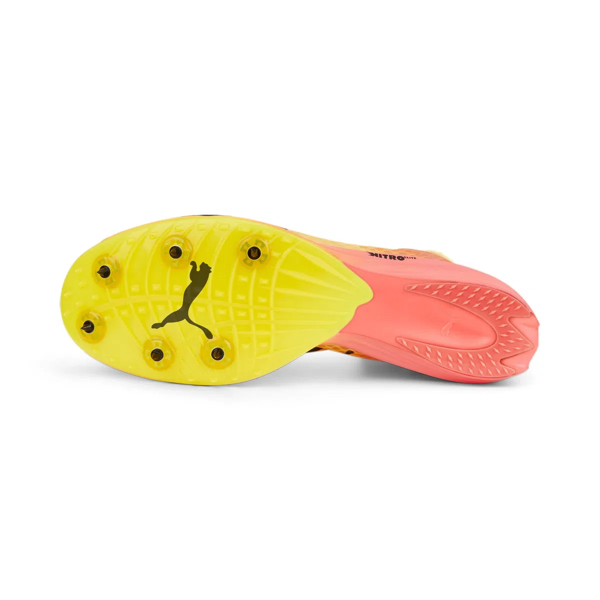 Puma Unisexo Regular Long Distance Zapatillas con Clavos para Pista y Campo Evospeed Distance Nitro Elite 45 Sun Stream Sunset Glow Black Orange Pink