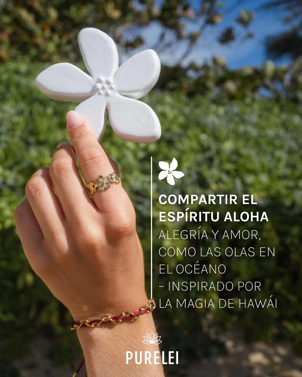 Purelei calendario adviento joyas 2025 (Oro) – 25 piezas exclusivas de joyería para cada ocasión – Calendario adviento mujer – Sostenible y reutilizable – Calendario joyas estético